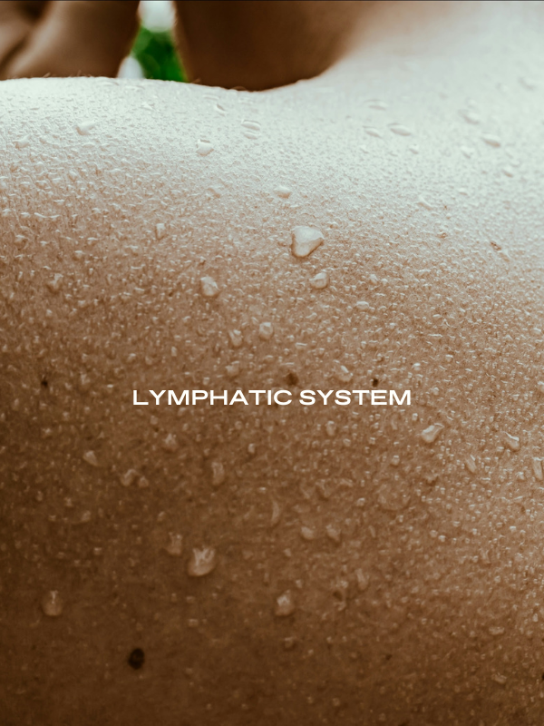 Lowdown on your lymphatic system
