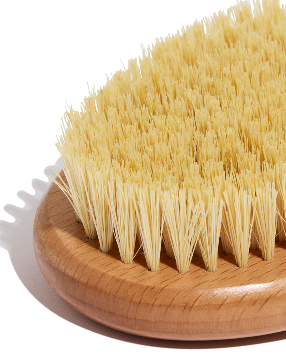 Dry Body Brush